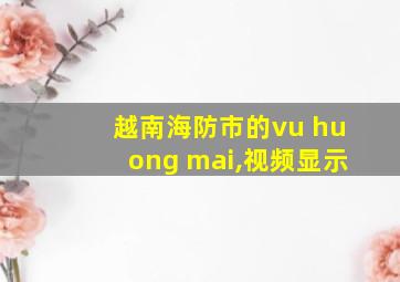 越南海防市的vu huong mai,视频显示